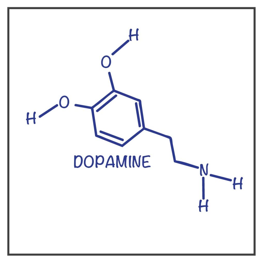 dopamine