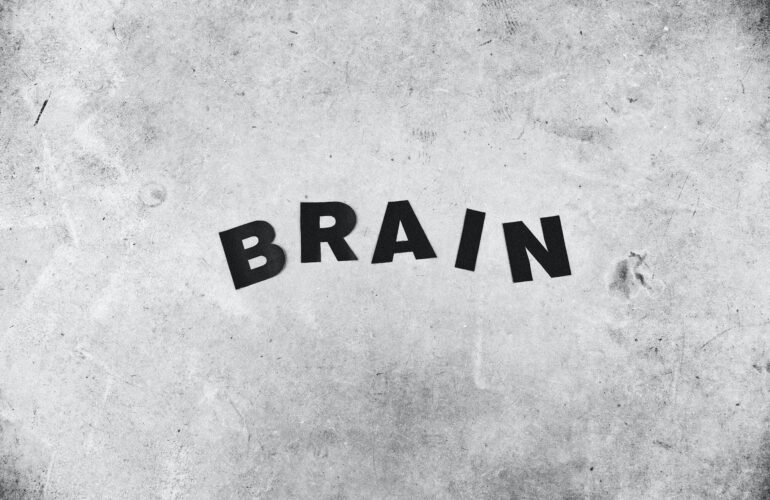 brain