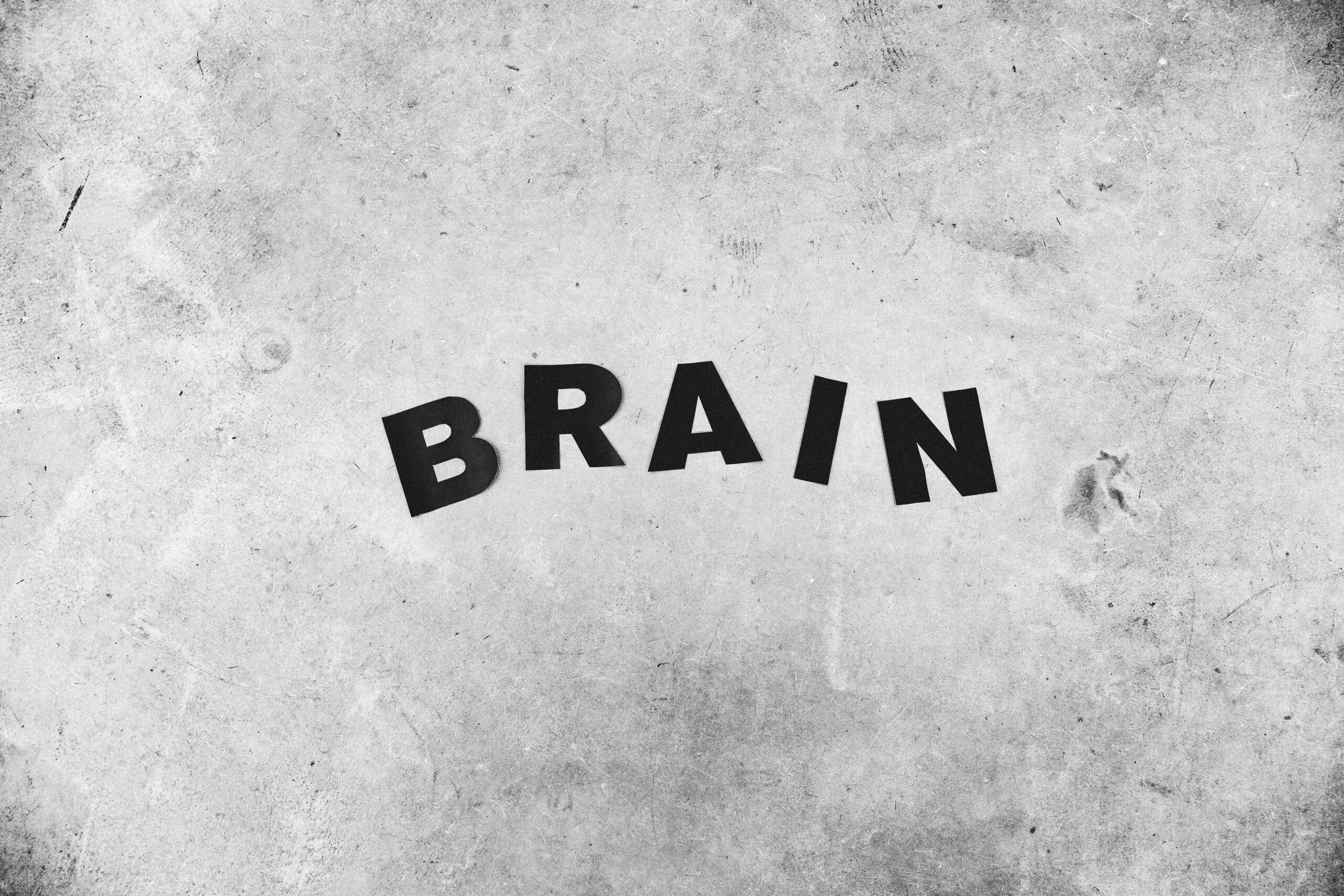 brain