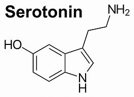 serotonin