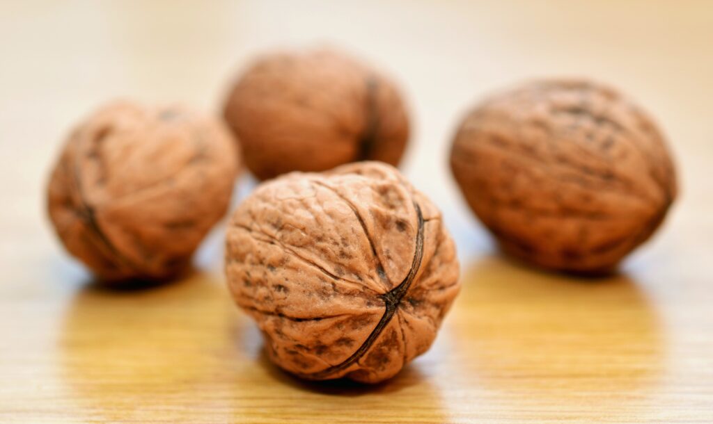 walnut