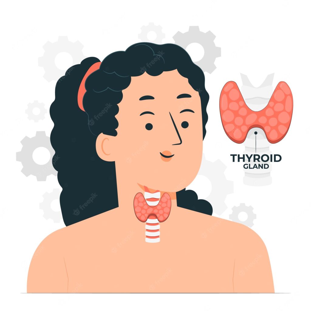 Thyroid gland