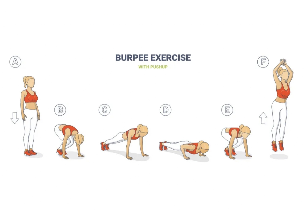 Burpees exercise to lose belly fat